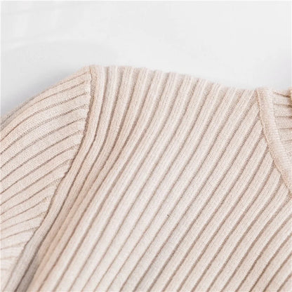 New Winter Women Knitted Turtleneck Sweater Casual Soft Polo-neck Jumper Fashion Slim Femme Elasticity Pullovers Collar Style