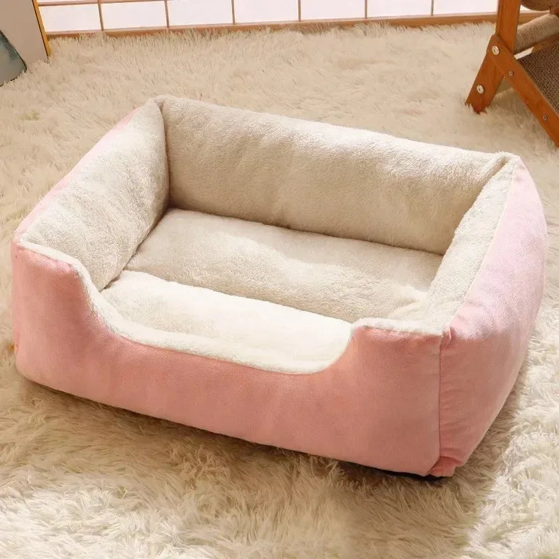 Bed for Cats Pet Products Cushions Kitten Goods Accessories Dog All Home Supplies Things Accessory Habitats Basket House Beds