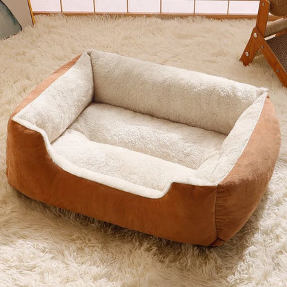 Bed for Cats Pet Products Cushions Kitten Goods Accessories Dog All Home Supplies Things Accessory Habitats Basket House Beds