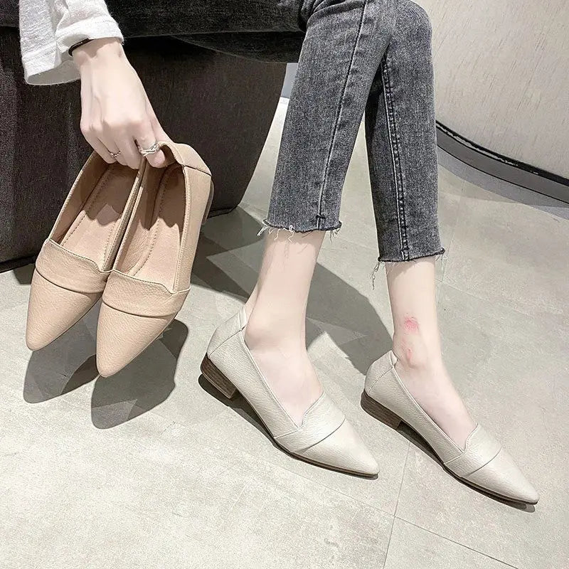 Loafers Ladies Summer Footwear Office Shoes for Women 2024 Pointed Toe Low Heel Elegant A Korean Style High Quality Shoe Spring