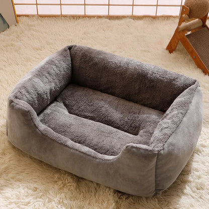 Bed for Cats Pet Products Cushions Kitten Goods Accessories Dog All Home Supplies Things Accessory Habitats Basket House Beds