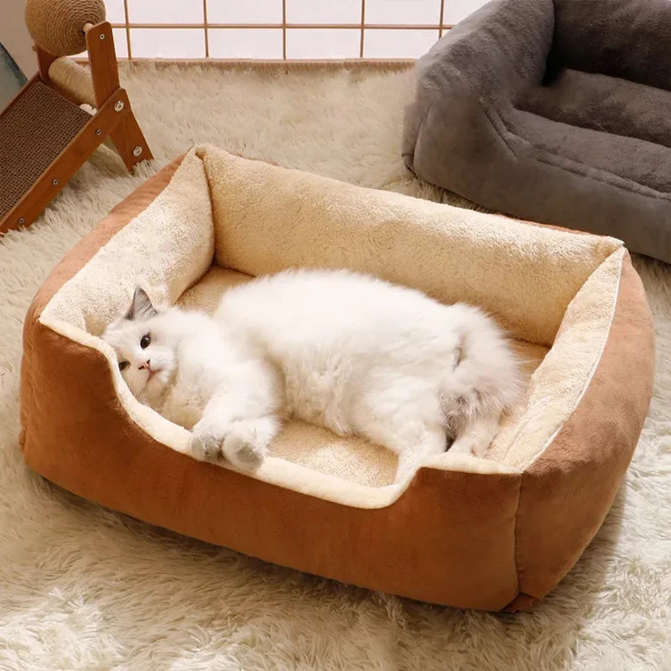 Bed for Cats Pet Products Cushions Kitten Goods Accessories Dog All Home Supplies Things Accessory Habitats Basket House Beds