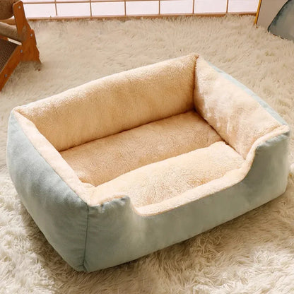 Bed for Cats Pet Products Cushions Kitten Goods Accessories Dog All Home Supplies Things Accessory Habitats Basket House Beds