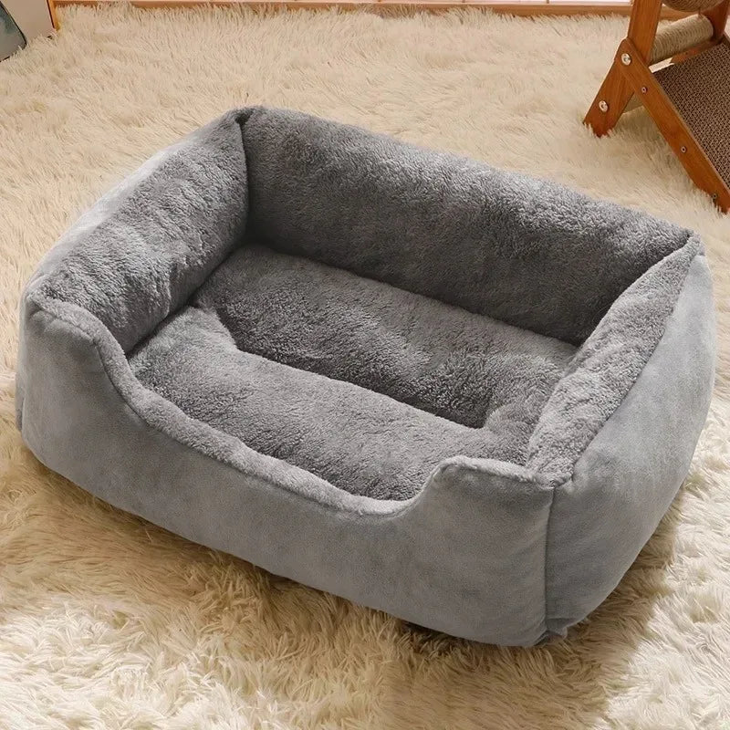 Bed for Cats Pet Products Cushions Kitten Goods Accessories Dog All Home Supplies Things Accessory Habitats Basket House Beds